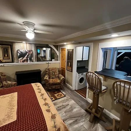 Smoky Mountain High -420 & Pet Friendly Appartement